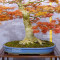 acer palmatum seigen ref :042025