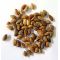 20 SEEDS PINUS THUNBERGII