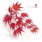 acer palmatum seeds variety 9001