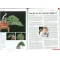 Bonsai focus magazine 102