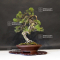 juniperus chinensis itoigawa ref 12090199