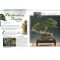 ESPRIT BONSAI N° 51