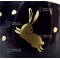 Bol lapin doré