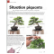 BONSAI FOCUS N° 120