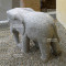 elephant 55 cm.
