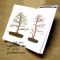 Mini bonsai acer palmatum handbook N°1