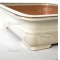 Deep ivory oblong bonsai pot