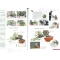 Bonsai focus magazine 102