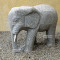 elephant 55 cm.