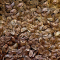 60 graines de stewartia monadelpha