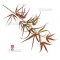 Graines d'Acer Amoenum Linearilobum rubrum
