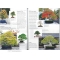 Bonsai focus magazine 90