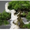 Juniperus chinensis itoigawa 16050183