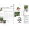 Bonsai focus magazine 101