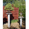 Stele granite bonsai 130 cm