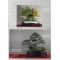 Bonsai focus magazine 109