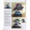 BONSAI FOCUS N° 117