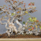 acer buergerianum 31070233