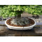 TAMAHI SMALL SIZE ORGANIC FERTILIZER 8 kilos
