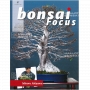 BONSAI FOCUS N° 97