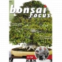 bonsai-focus-n-104