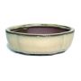 G1 quince flower oval mini pot beige