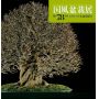 kokufu-ten-bonsai-exhibition-catalogue-78-(2004)