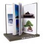 livre-expo-taikan-ten-n-24