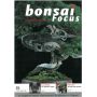 BONSAI FOCUS N° 55