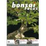 bonsai-focus-n-58
