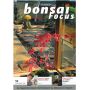 bonsai-focus-n-59
