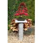 stele-granite-bonsai-100-cm