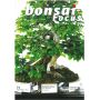 BONSAI FOCUS N° 71