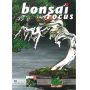 BONSAI FOCUS N° 72