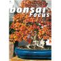 bonsai-focus-n-73
