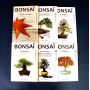 Mini bonsai technical handbooks set of 6