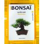 Mini bonsai Japanese black pine handbook N°6