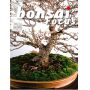 bonsai-focus-n-79