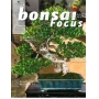 BONSAI FOCUS N° 81