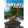 bonsai-focus-n-82