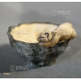 mini-pot-petit-chat-ref-9301