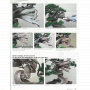 BONSAI FOCUS N° 109