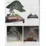 BONSAI FOCUS N° 112