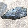 Roche samba N° 300-12227
