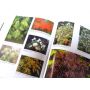 EPUISEMAPLES OF THE WORLD D.M VAN GELDEREN PC DE J