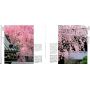 EPUISEKyoto sakura collection