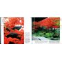 EPUISEKyoto momiji collection