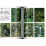 EPUISEJardins japonais tome 2