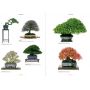 EPUISEThe modern bonsai