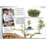 EPUISEFRANCE BONSAI N° 67